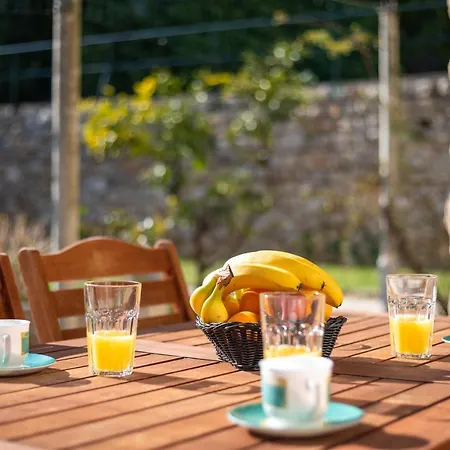 Ahava Garden Daire *